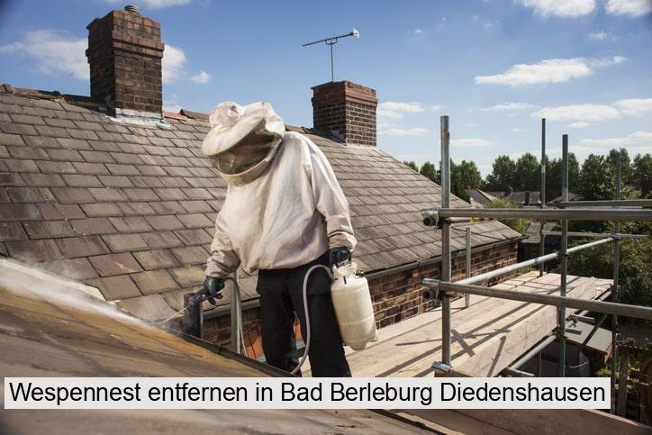 Wespennest entfernen in Bad Berleburg Diedenshausen